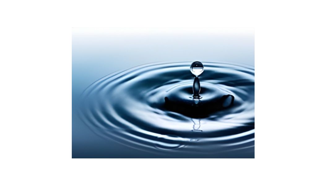 Rice Vermicelli Ingredients